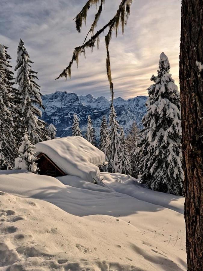 Pension Ostbach Leutasch Exteriör bild
